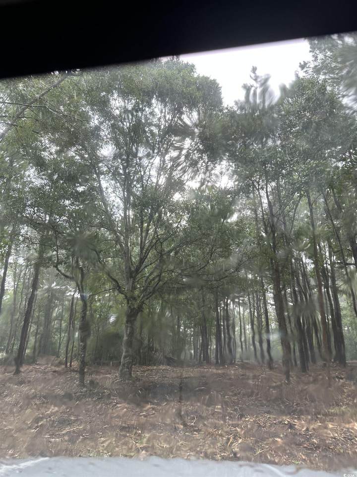 tbd Allen Dew Rd. - Photo 1