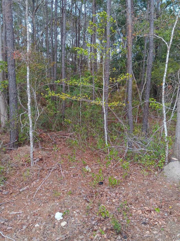 TBD Sean River Rd. - Photo 1