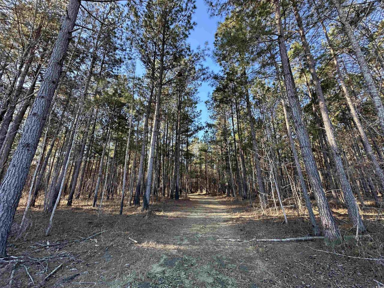 TBD Rocky Ford Rd. - Photo 1