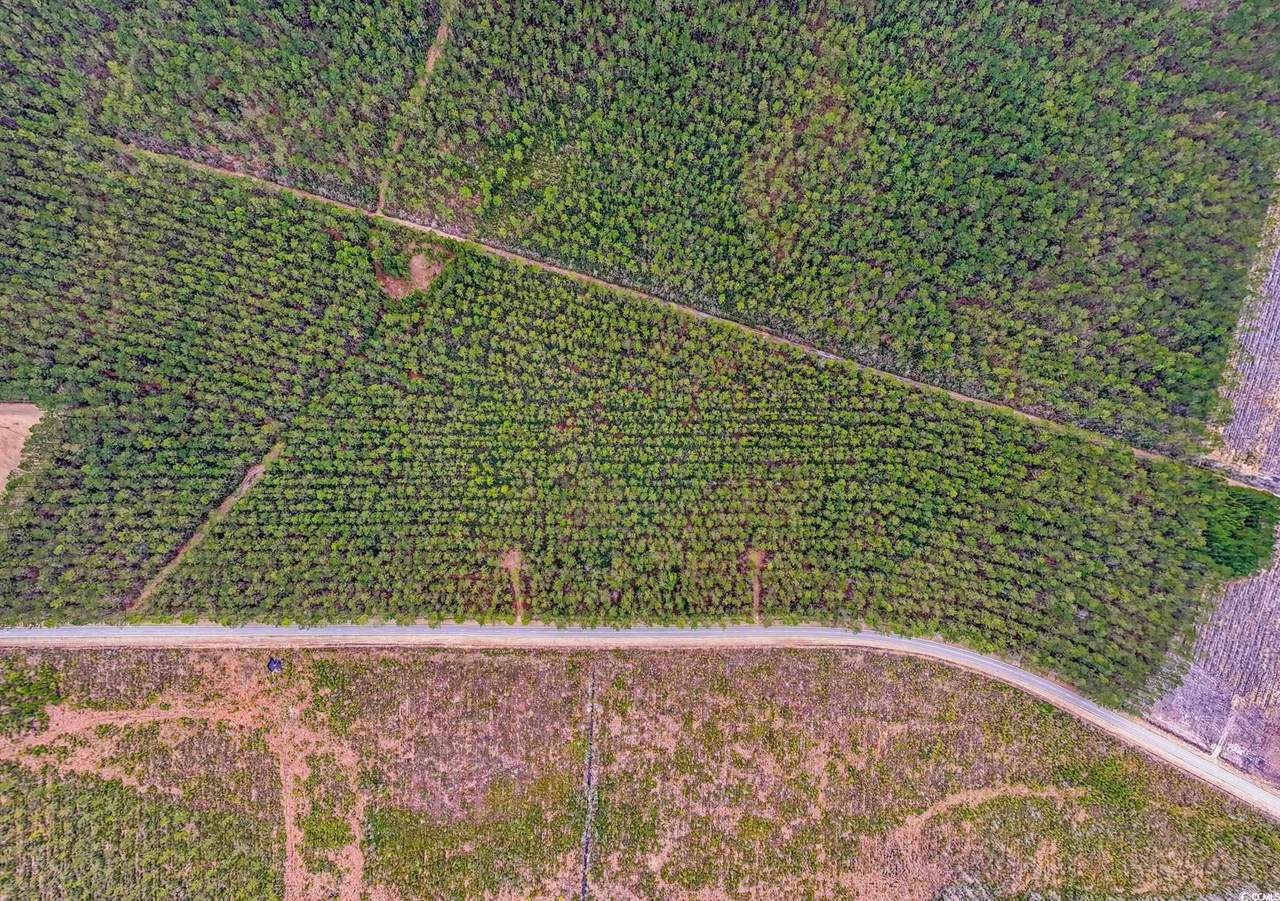 TBD Joyner Swamp Rd. - Photo 1