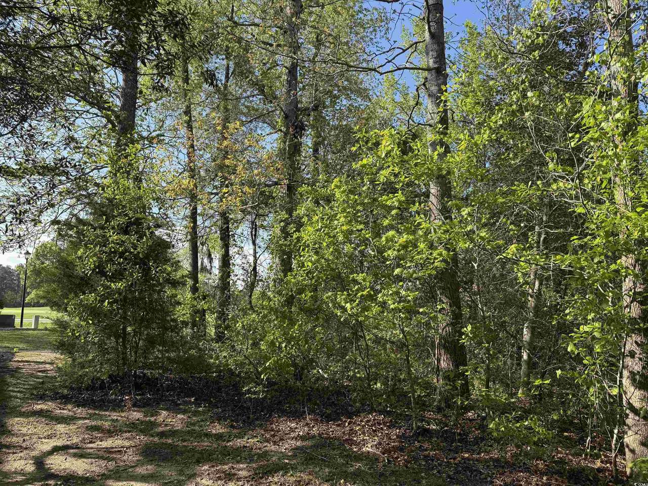 https://bt-photos.global.ssl.fastly.net/ccar/1280_boomver_1_2508971-2.jpg