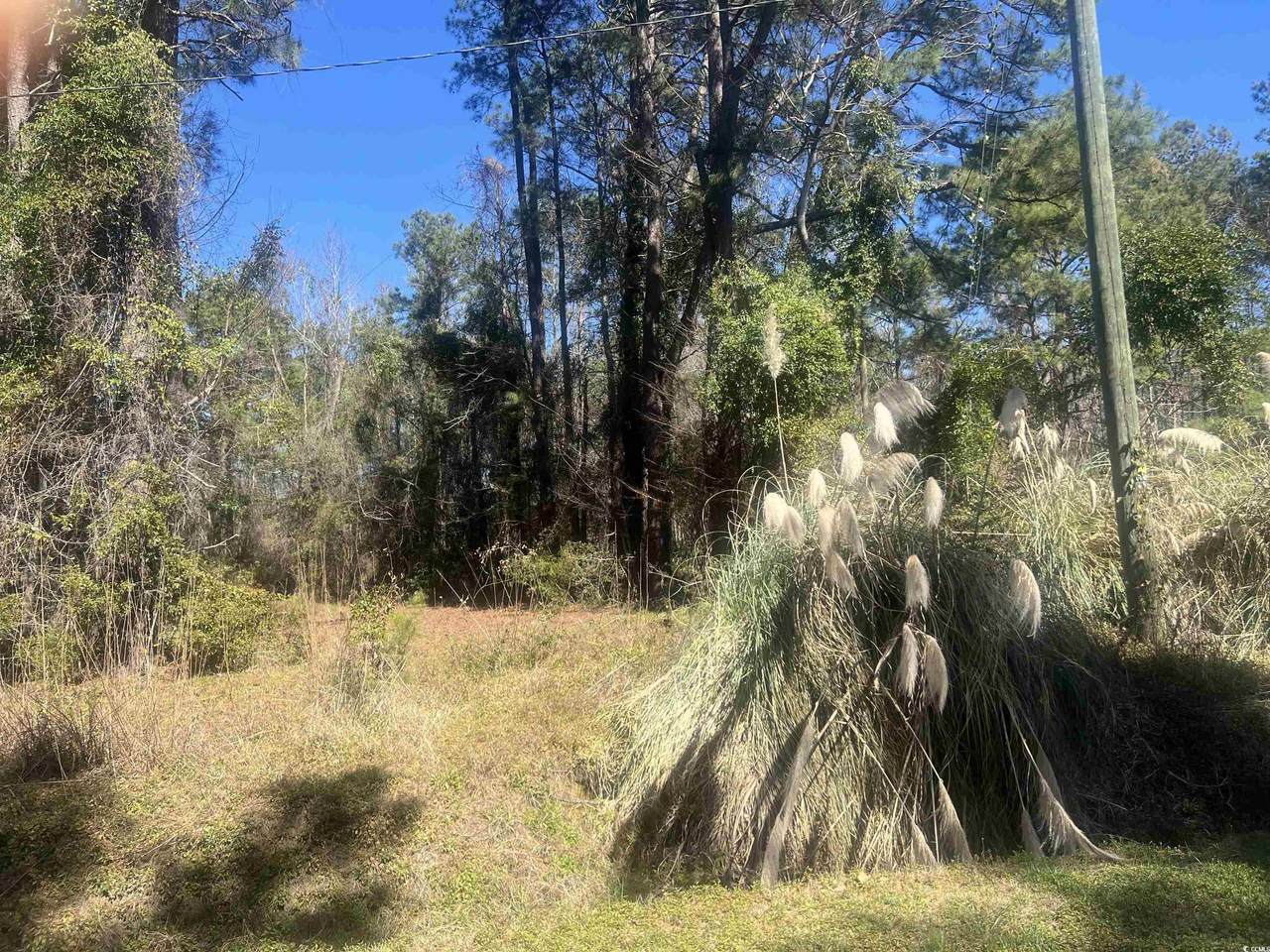 TBD Tillmond Dr. - Photo 1