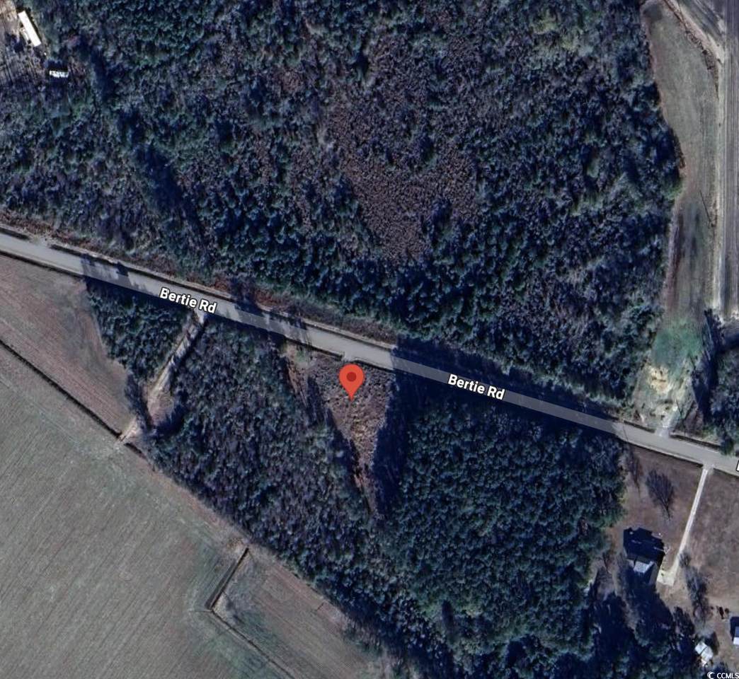 TBD Bertie Rd. - Photo 1