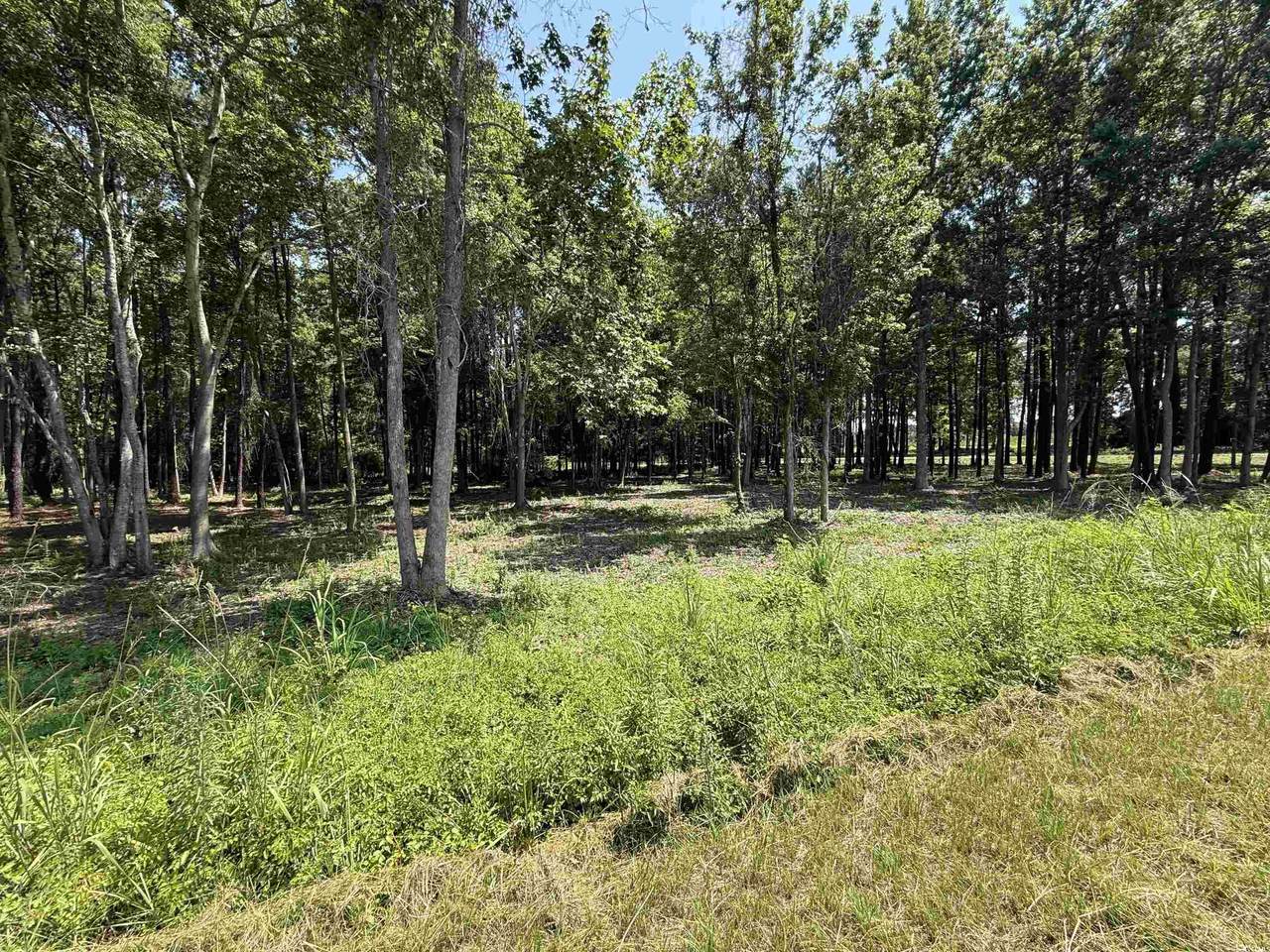 Lot 4 Highway 668 - Photo 1