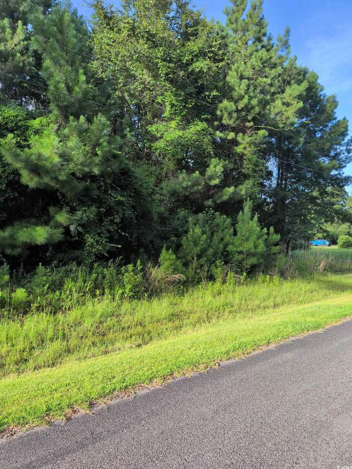 TBD Pecan Ln. - Photo 1