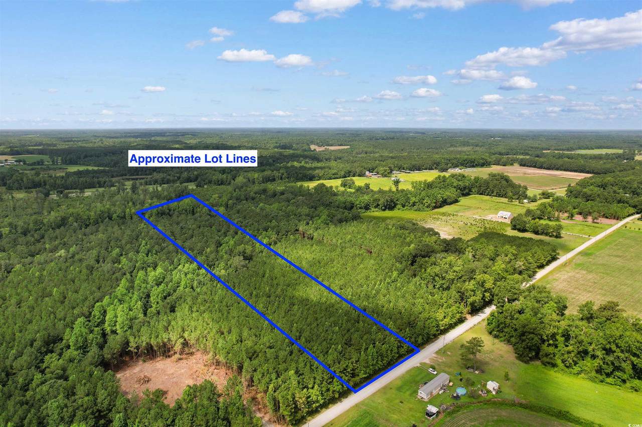 TBD Oneal Road Oneal Rd - Photo 1