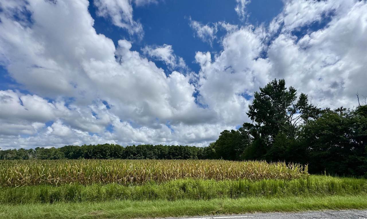 TBD Pearl Rd. - Photo 1