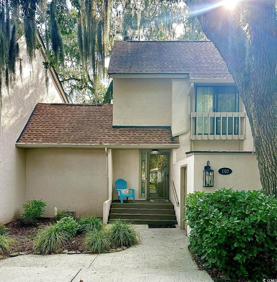 101 Mayrant Bluff Ln. - Photo 1