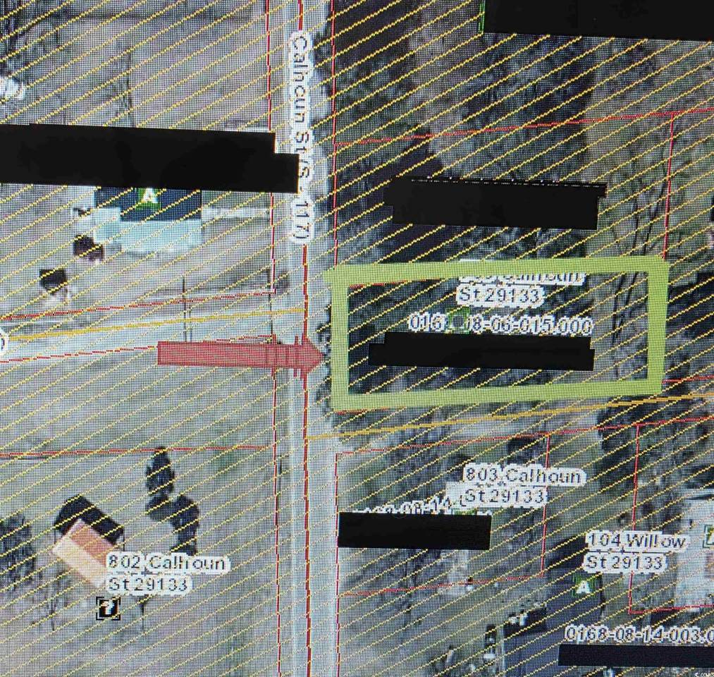 703 Calhoun St. - Photo 1