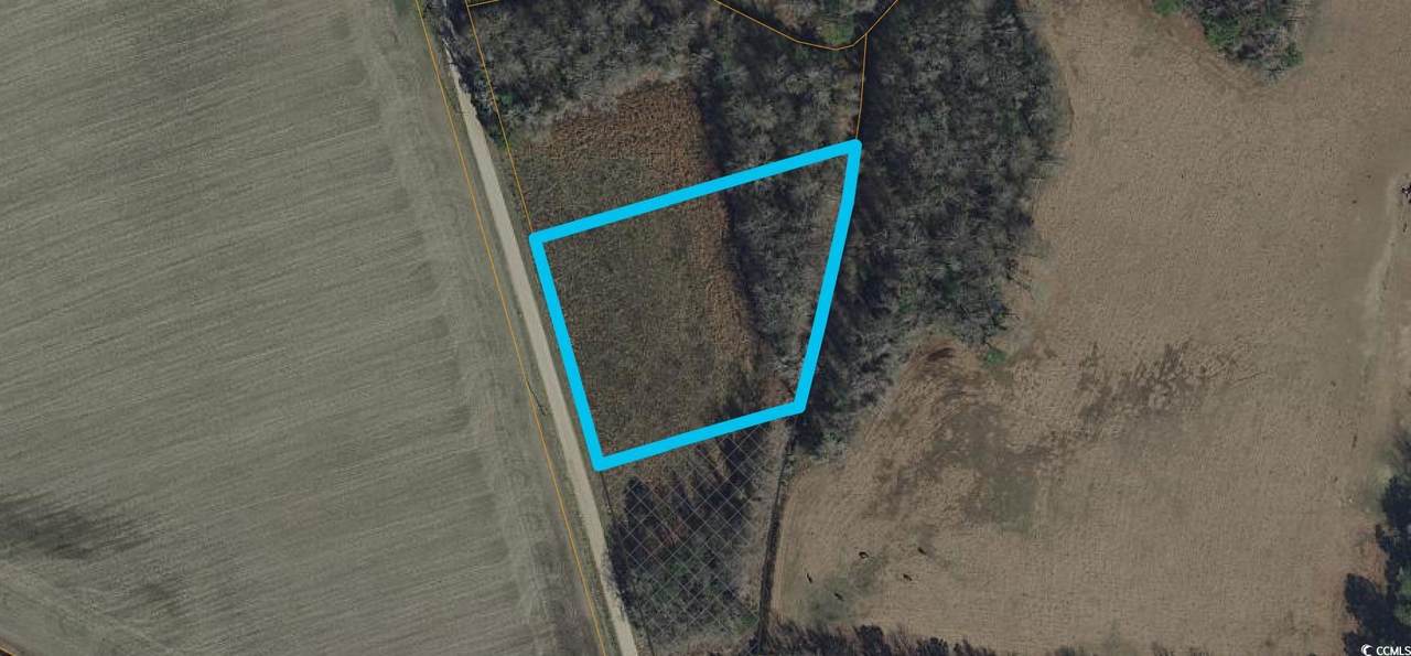 998 Inglewood Dr. - Photo 1