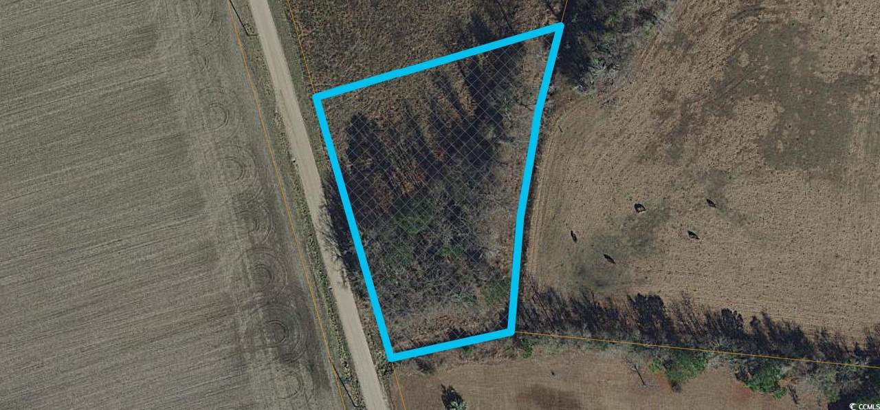 996 Inglewood Dr. - Photo 1