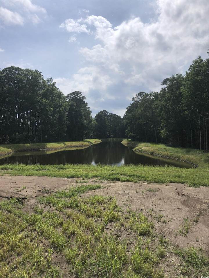 3139 Moss Bridge Ln. - Photo 1