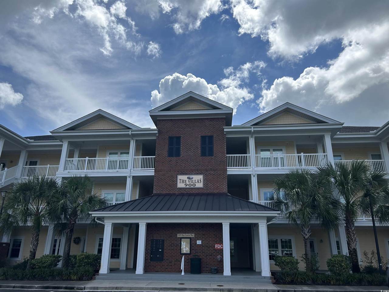 1029 Ray Costin Way - Photo 1