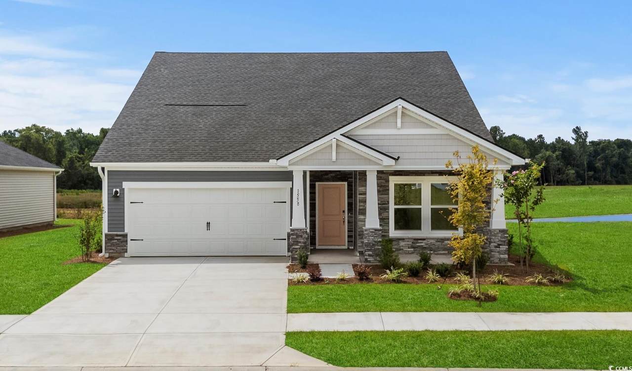 1519 Regal Fern Way - Photo 1