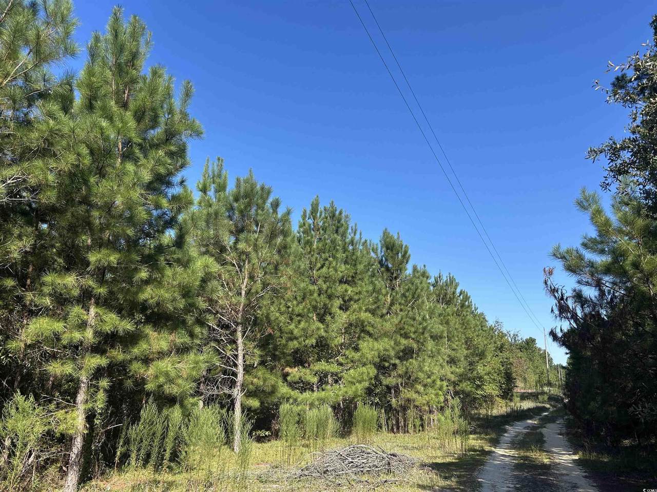 TBD Oakland Rd. - Photo 1