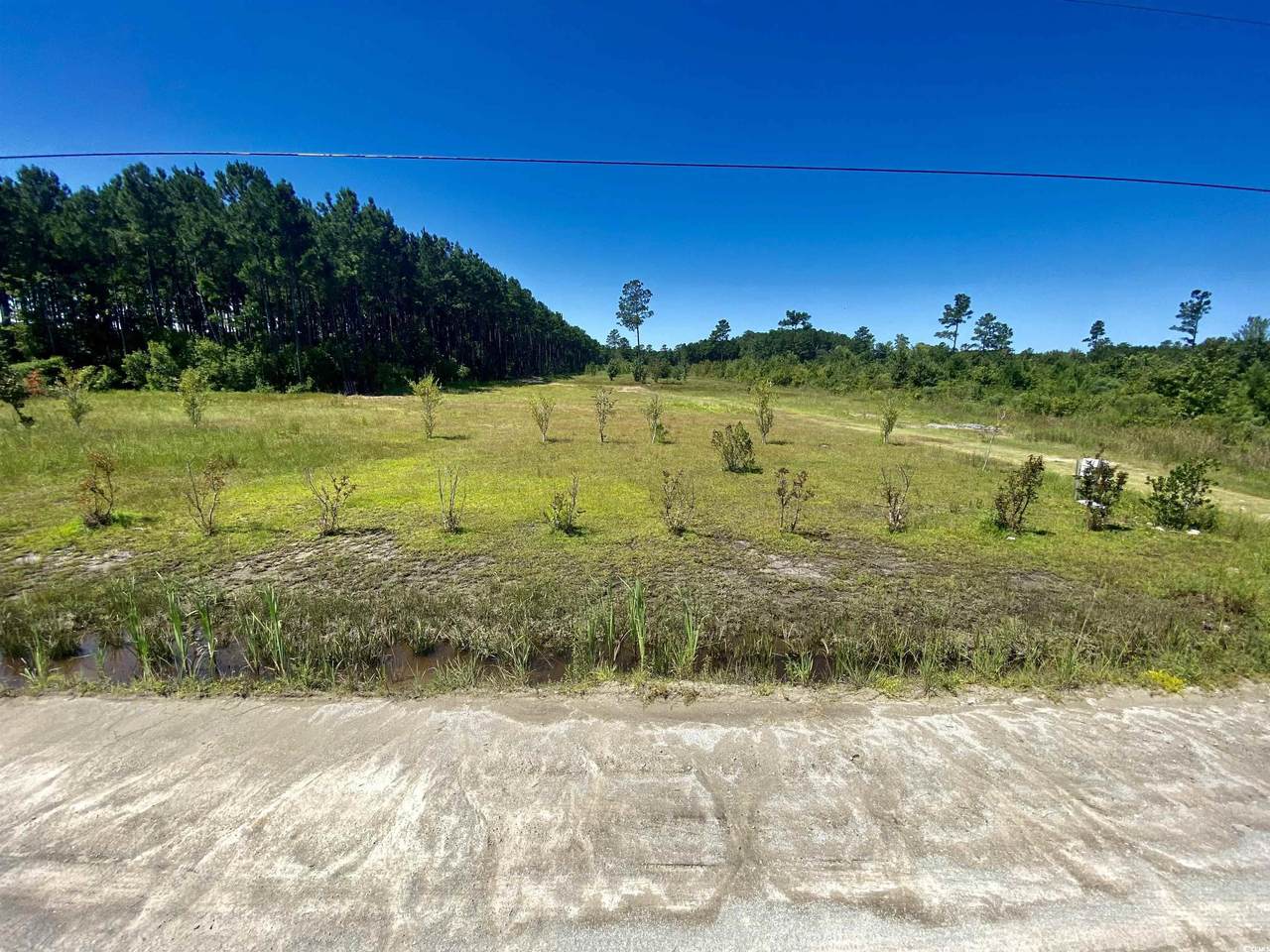 1259 Cheyenne Rd. - Photo 1