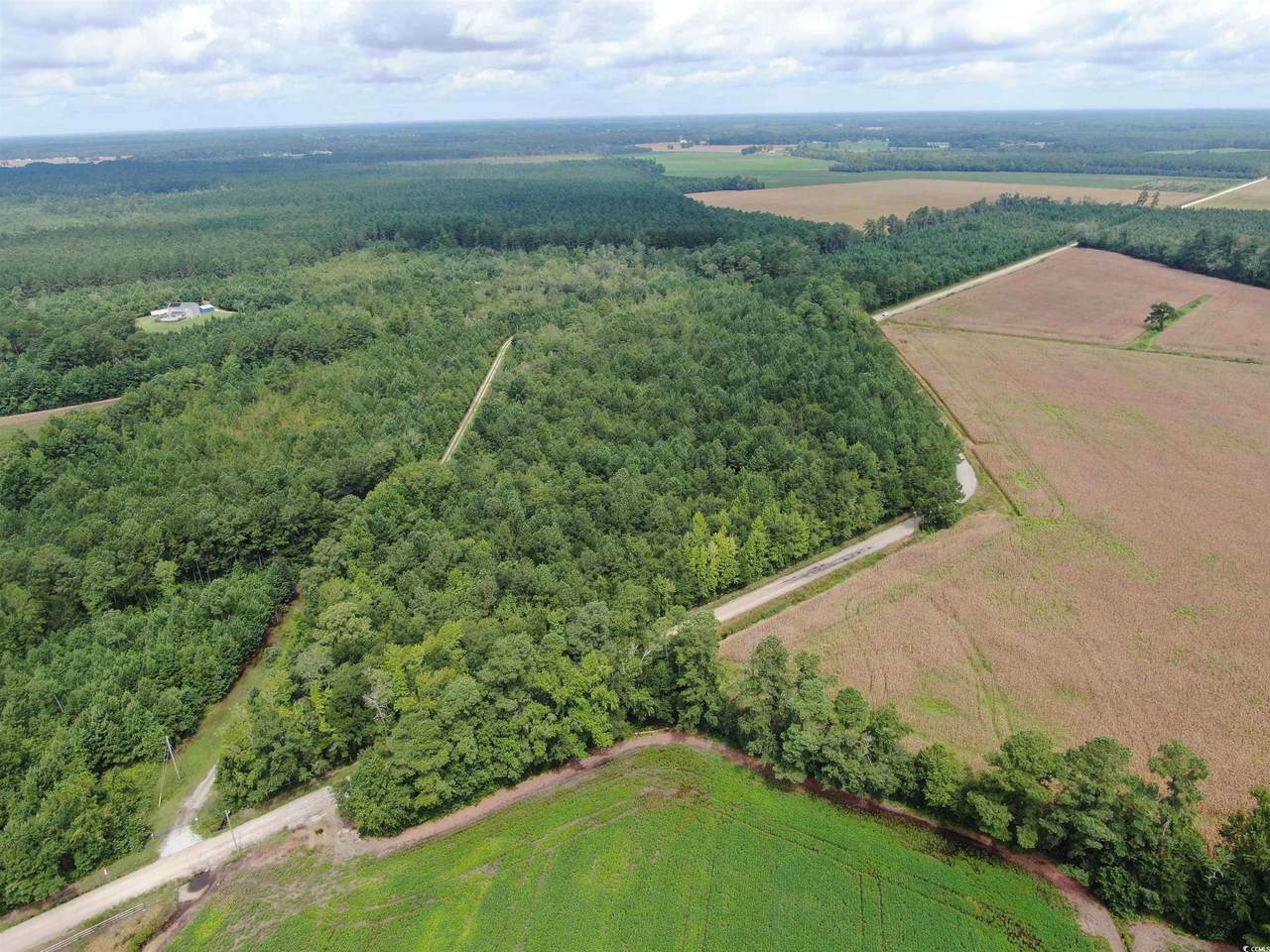 TBD Shelley Path - Photo 1