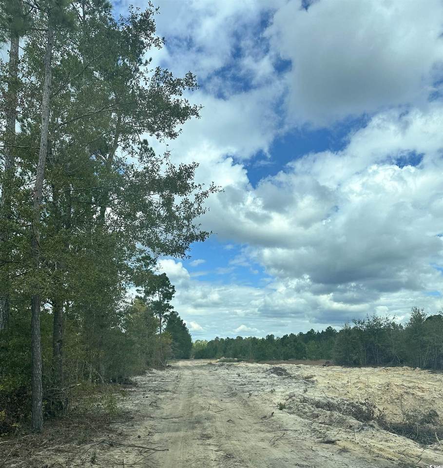 3369 Highway 430 - Photo 1