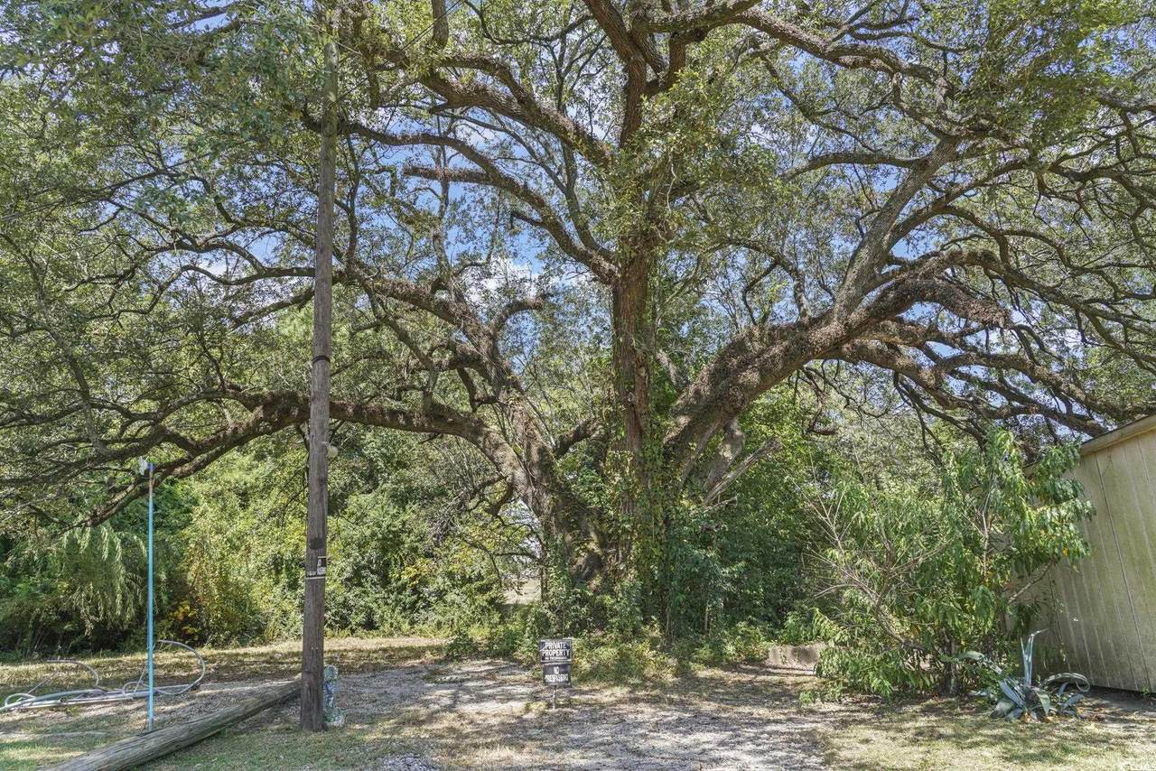 411 Apple Ln. - Photo 1