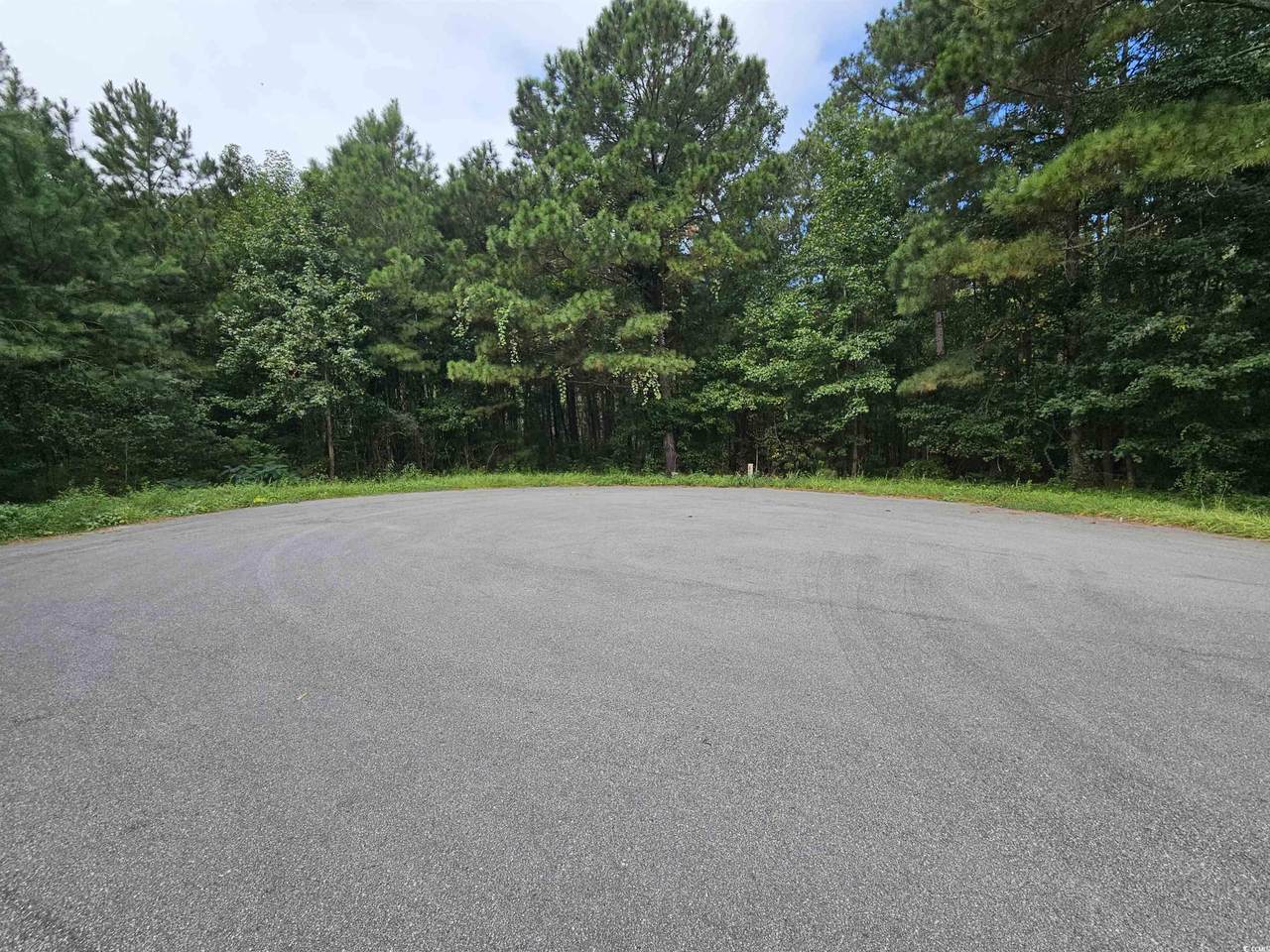 8344 Bucksport Heights Circle - Photo 1