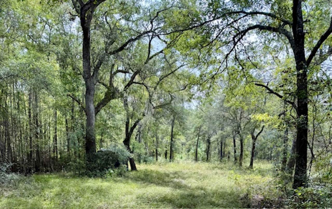 140 Waccamaw River Dr. - Photo 1