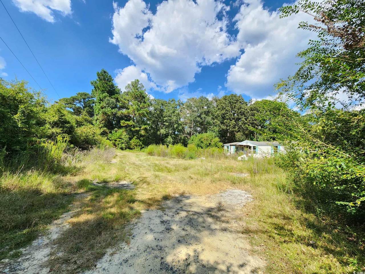 239 Canis Lupus Lane - Photo 1