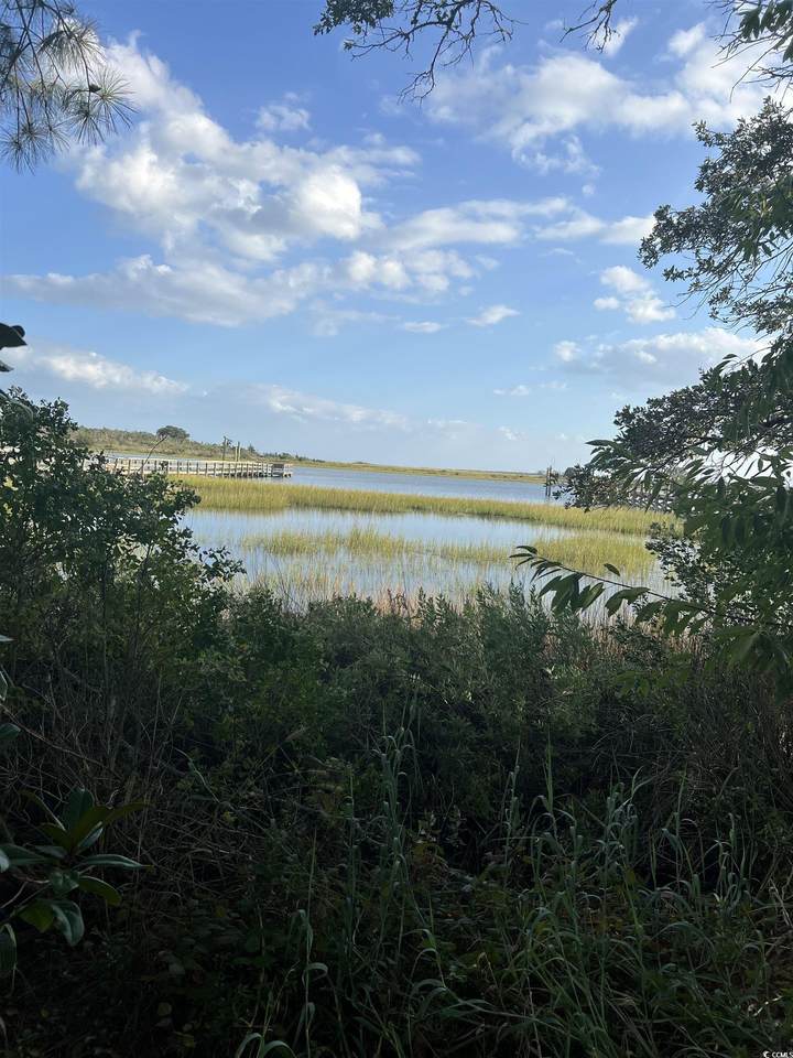 1139 Indigo Circle - Photo 1