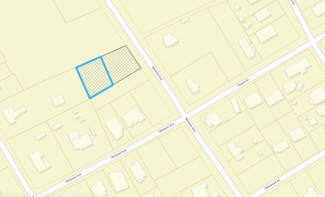 TBD Mineola Ave. - Photo 1