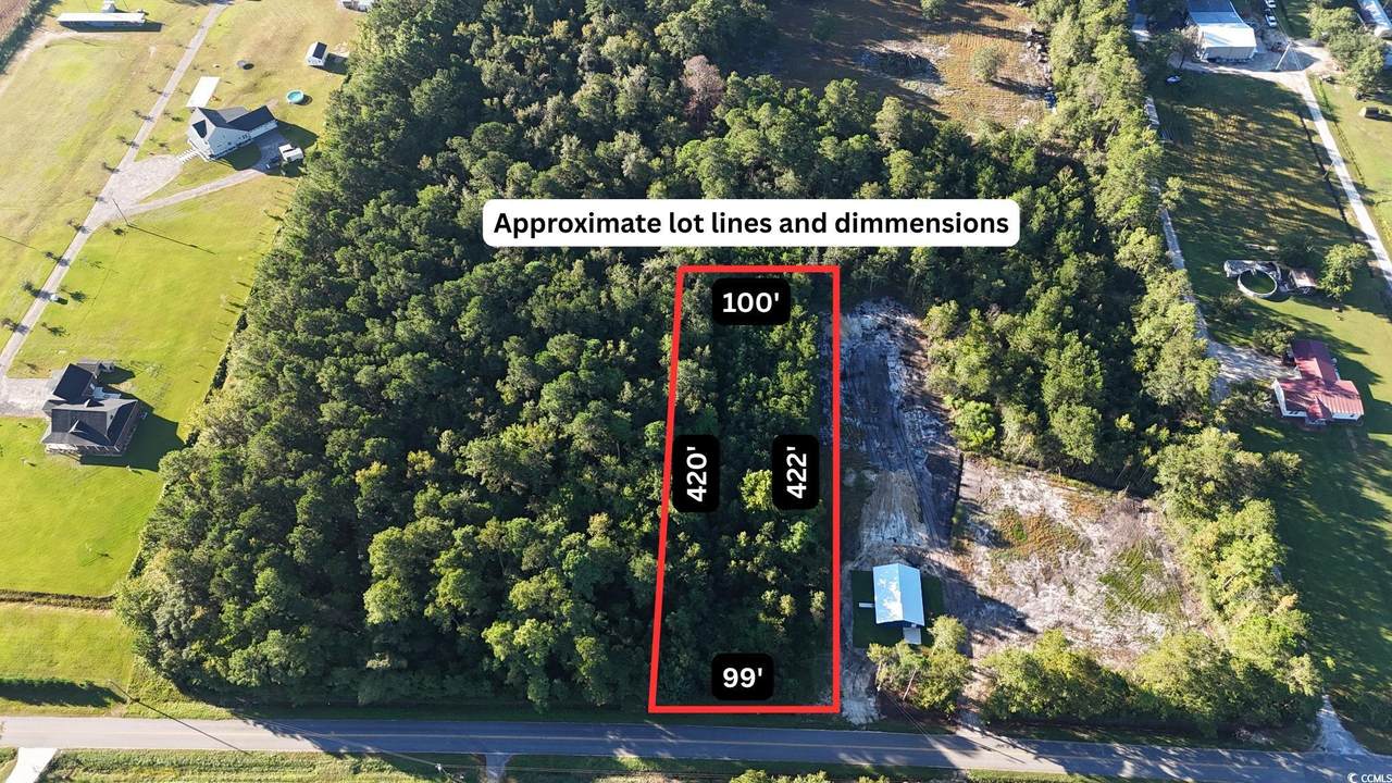 TBD Hughes Gasque Rd. - Photo 1