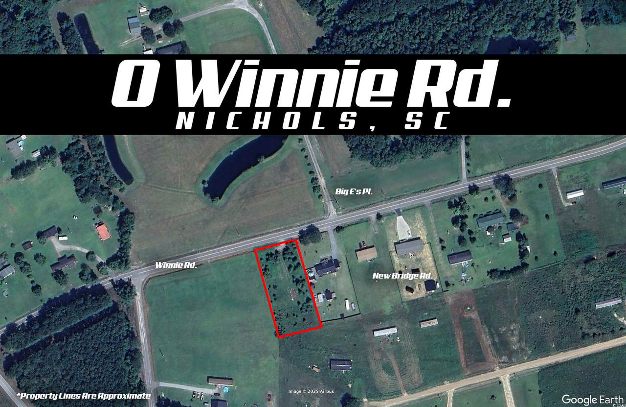0 Winnie Rd. - Photo 1