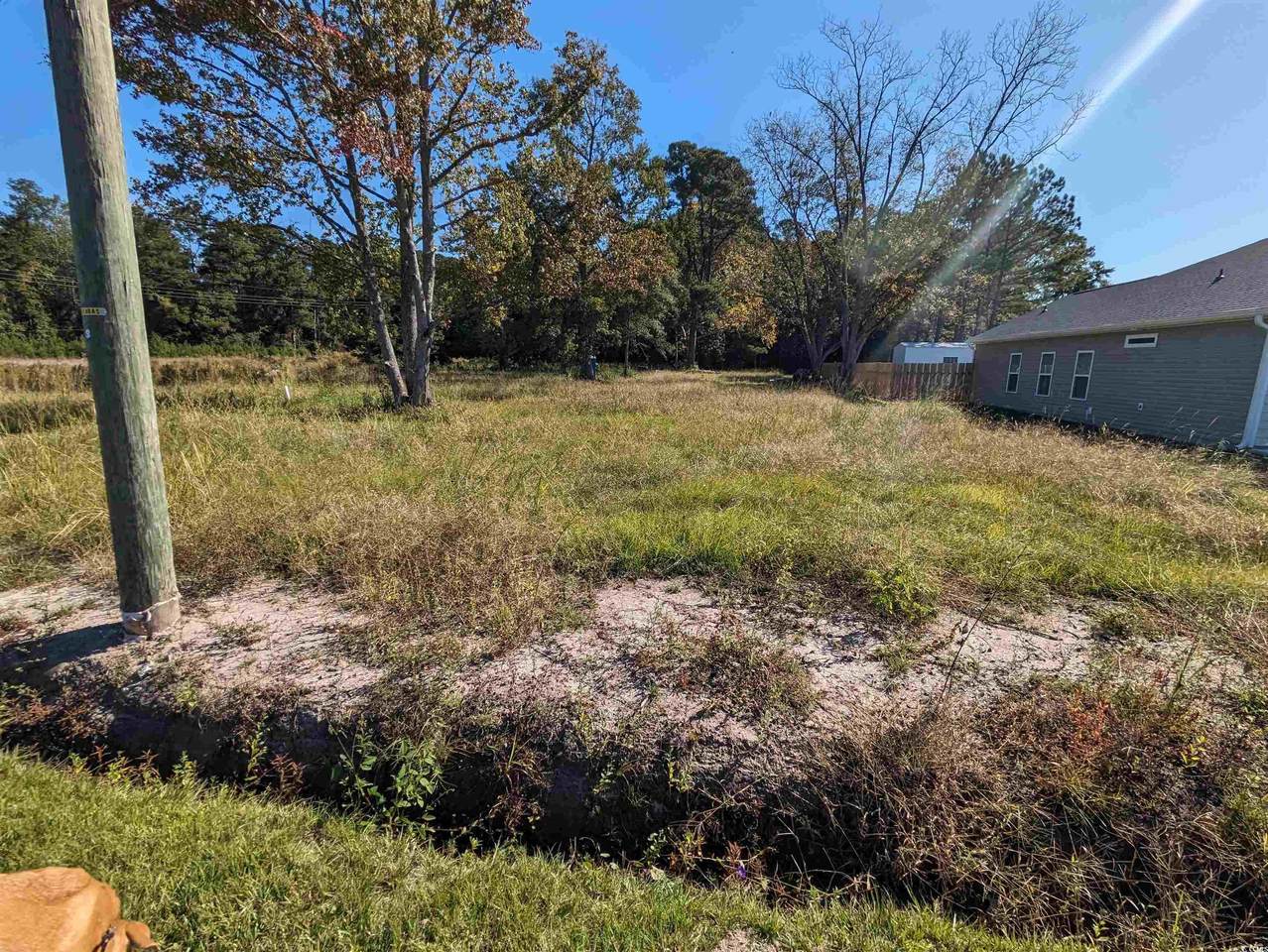 933 Hickman Rd. - Photo 1