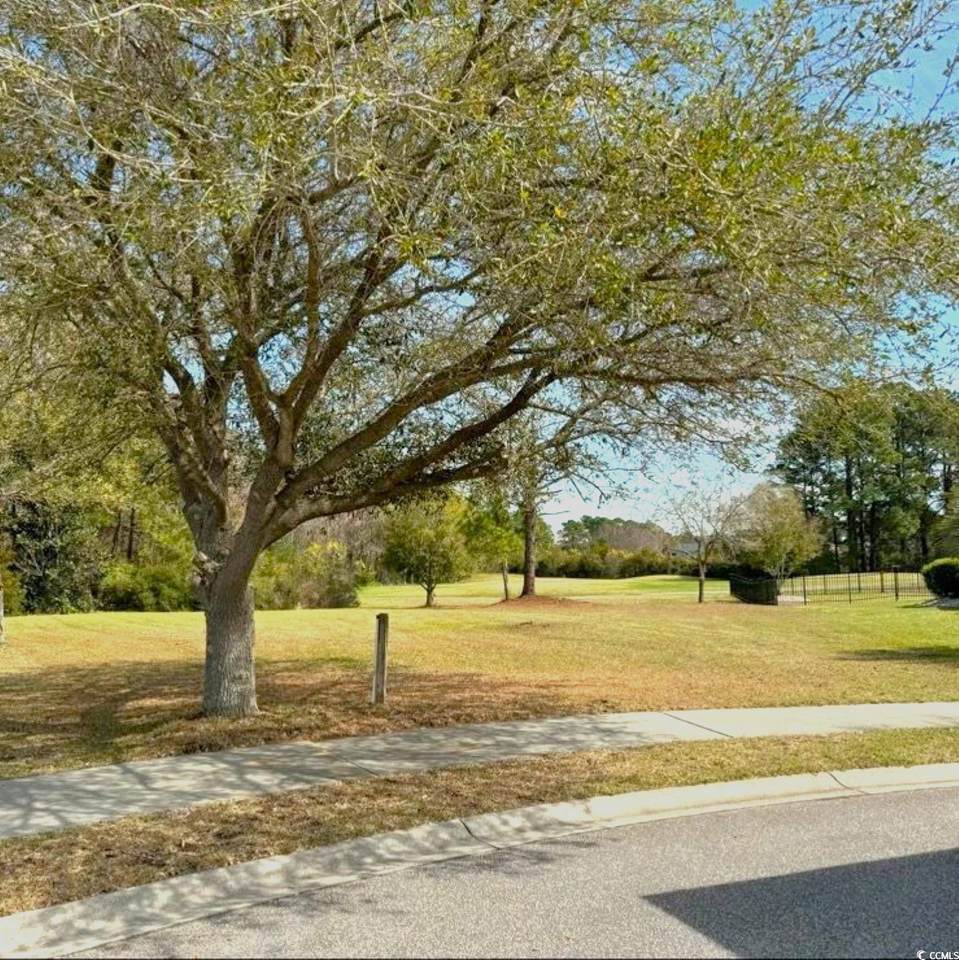 1005 Whooping Crane Dr. - Photo 1