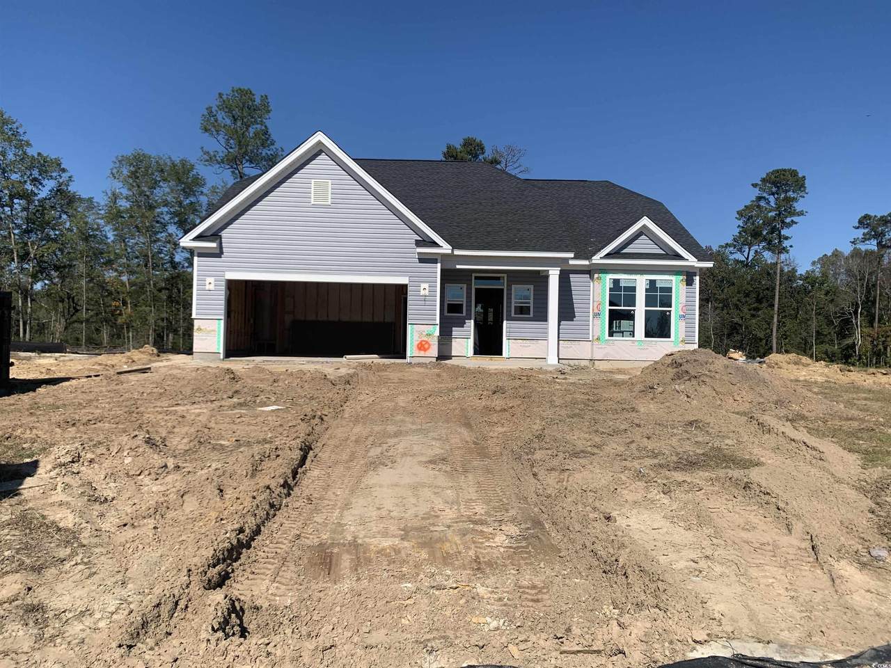 213 Blue Wing Court - Photo 1