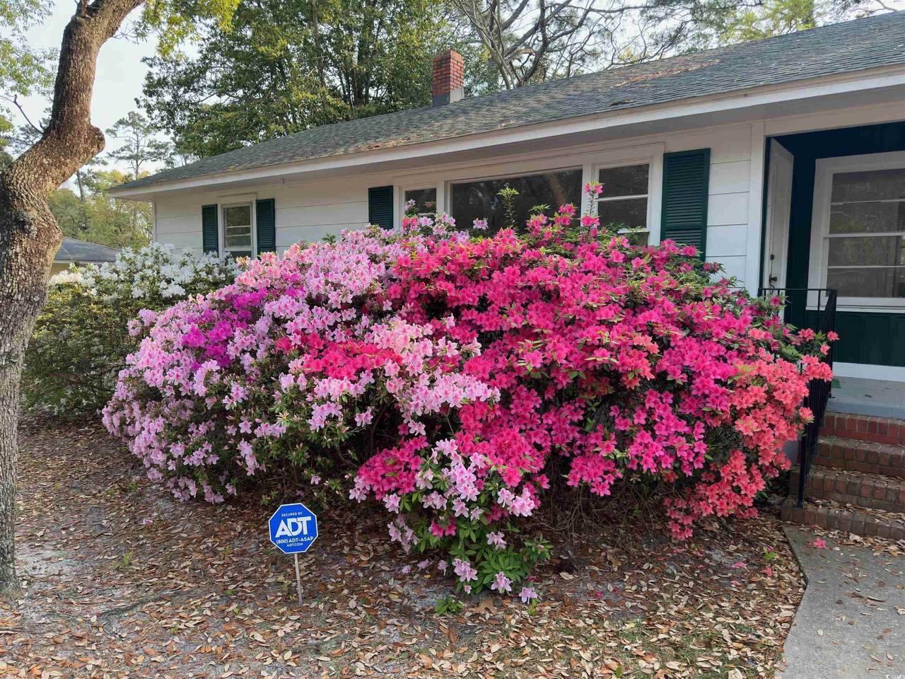 519 32nd Ave. N - Photo 1