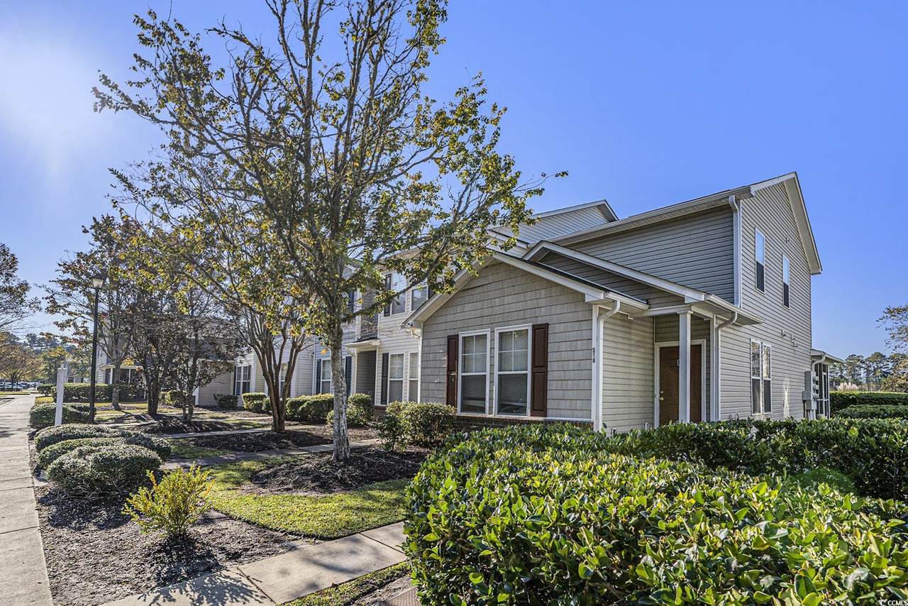310 Kiskadee Loop - Photo 1