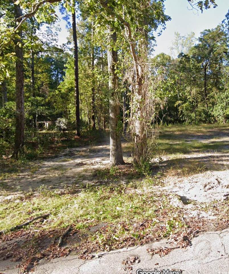 238 Pineneedle Circle - Photo 1