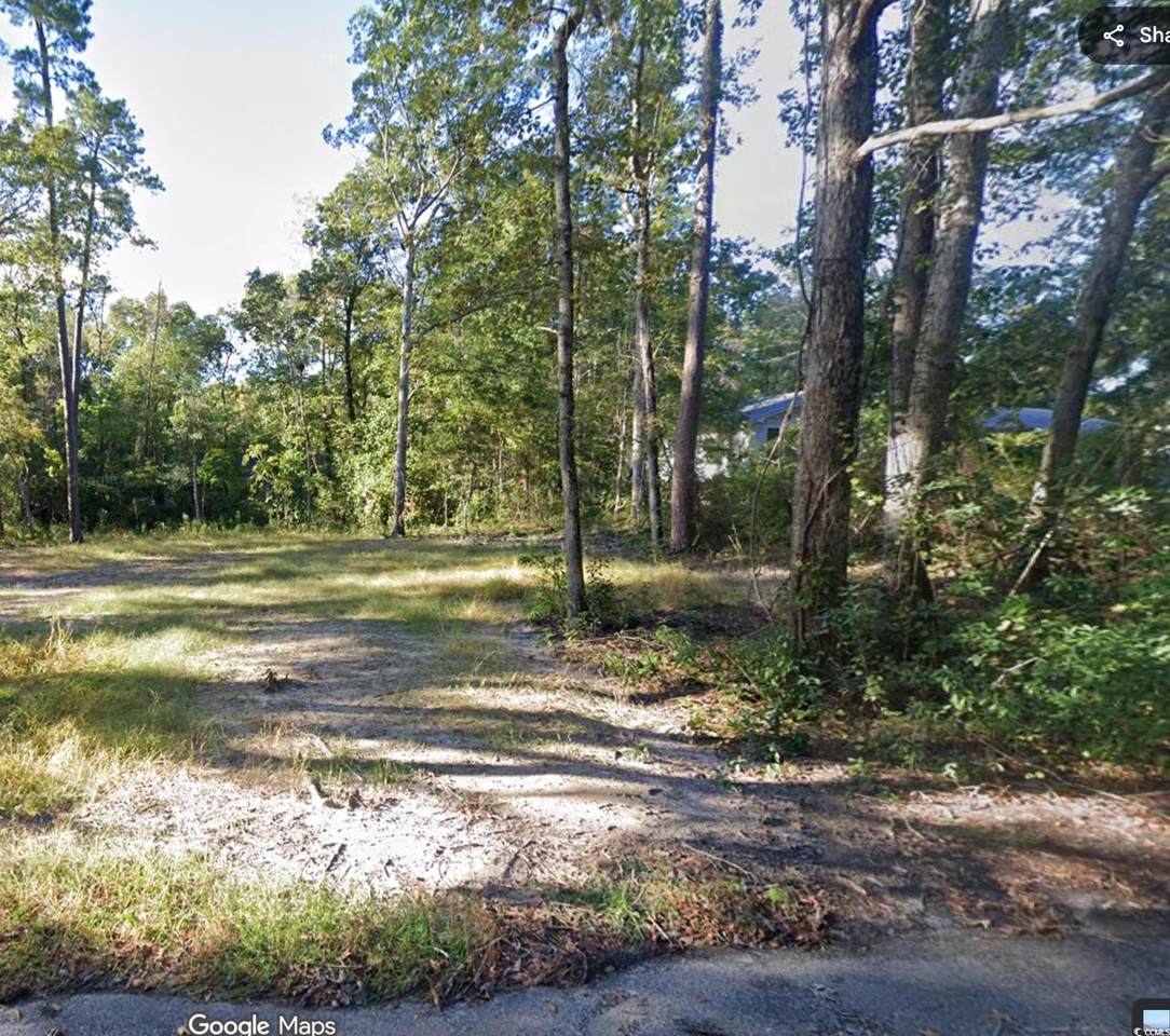 234 Pineneedle Circle - Photo 1