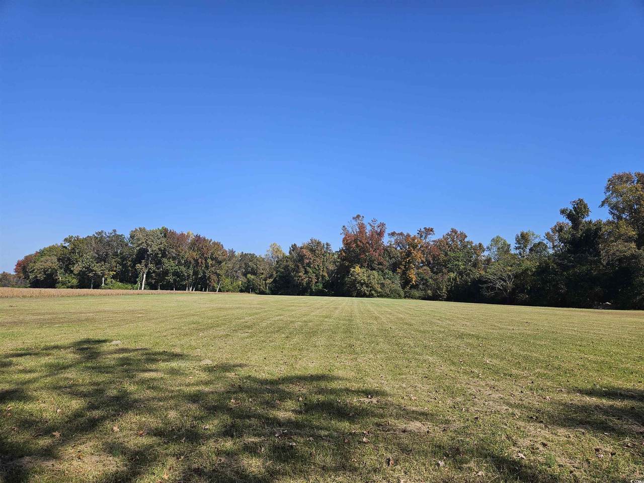 5.9AC Main St. - Photo 1