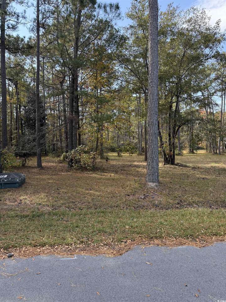 867 Denali Dr. - Photo 1