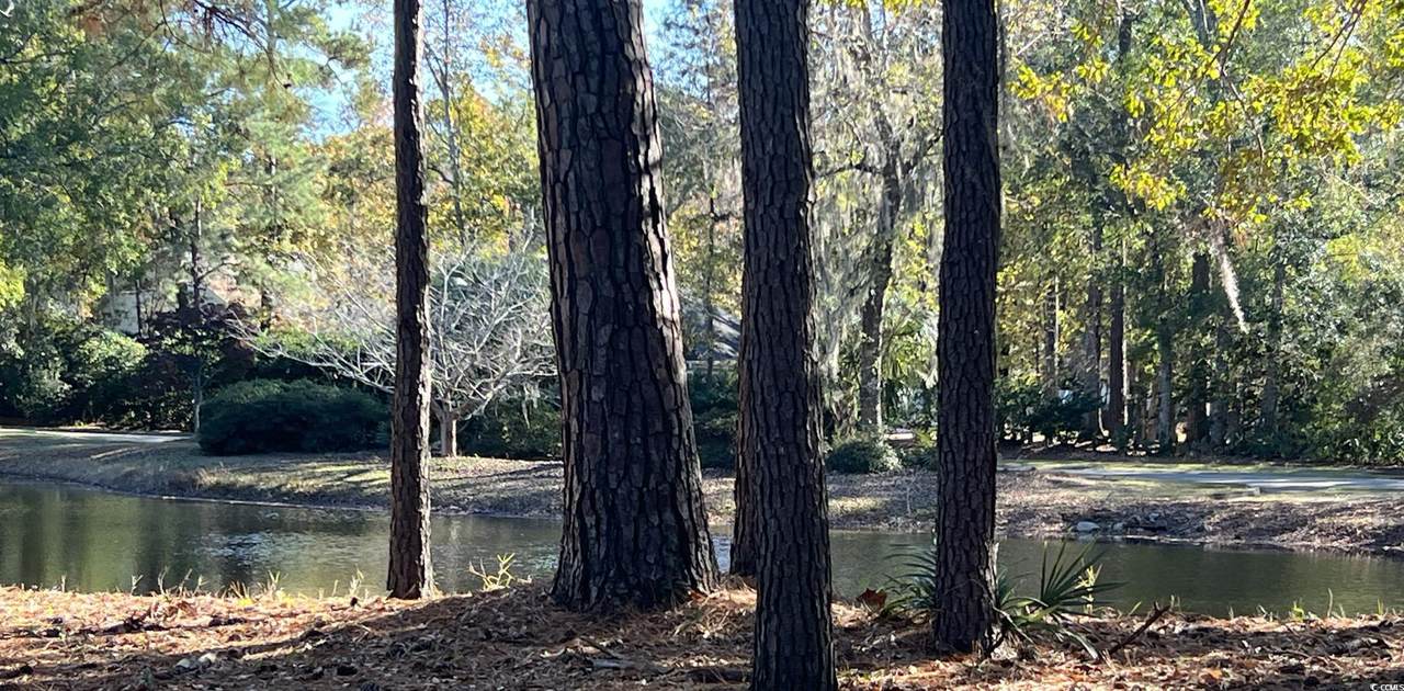 TBD Green Wing Teal Ln. - Photo 1