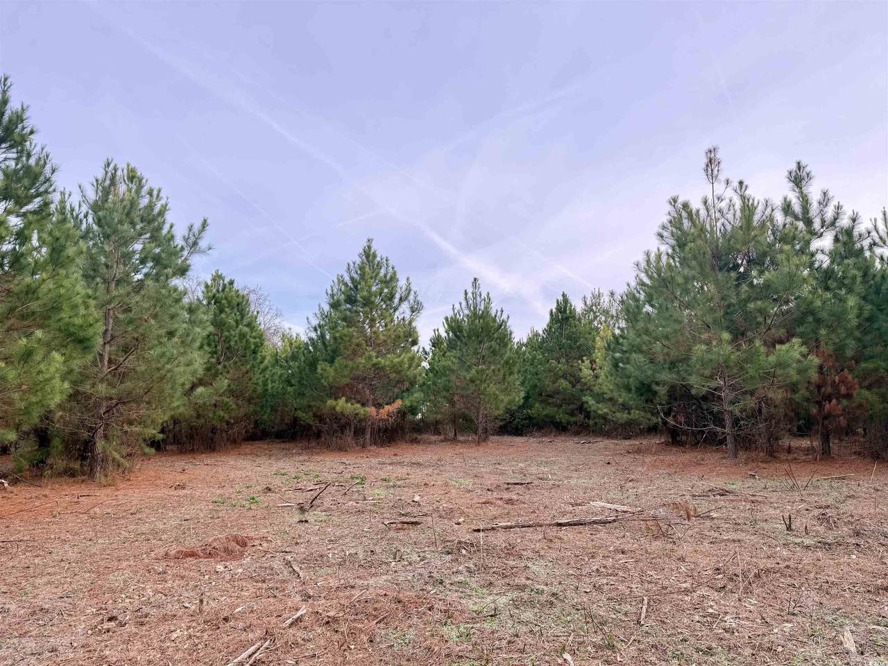 Lot 2 - TBD New Pine Rd. - Photo 1