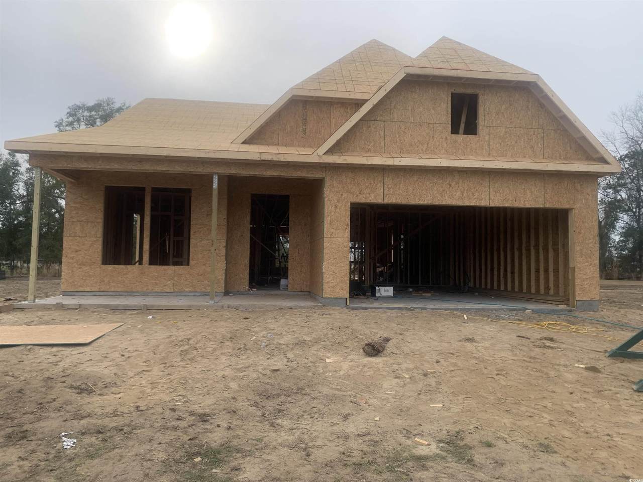 316 Palmetto Sand Loop - Photo 1