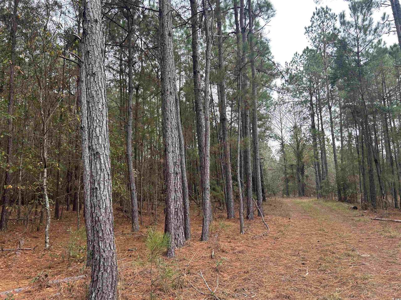 TBD Highway 746 - Photo 1