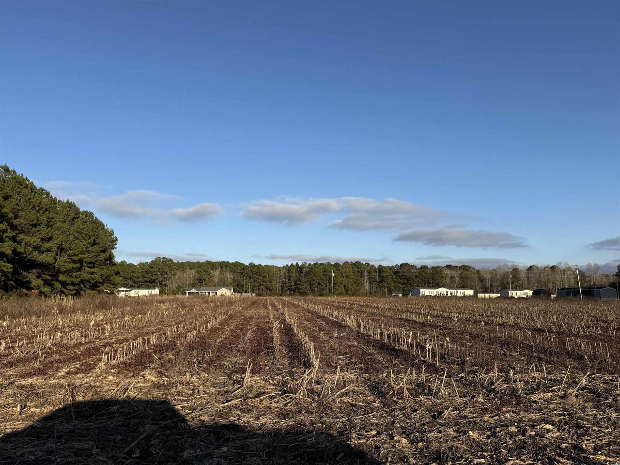 TBD Thomas Dr. - Photo 1
