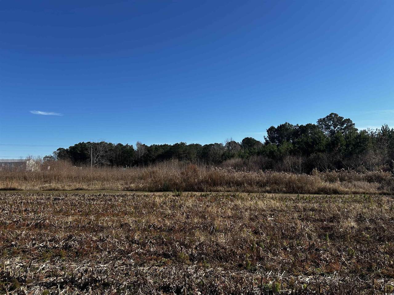 1.70 Acres-TBD West Dogwood Rd. - Photo 1