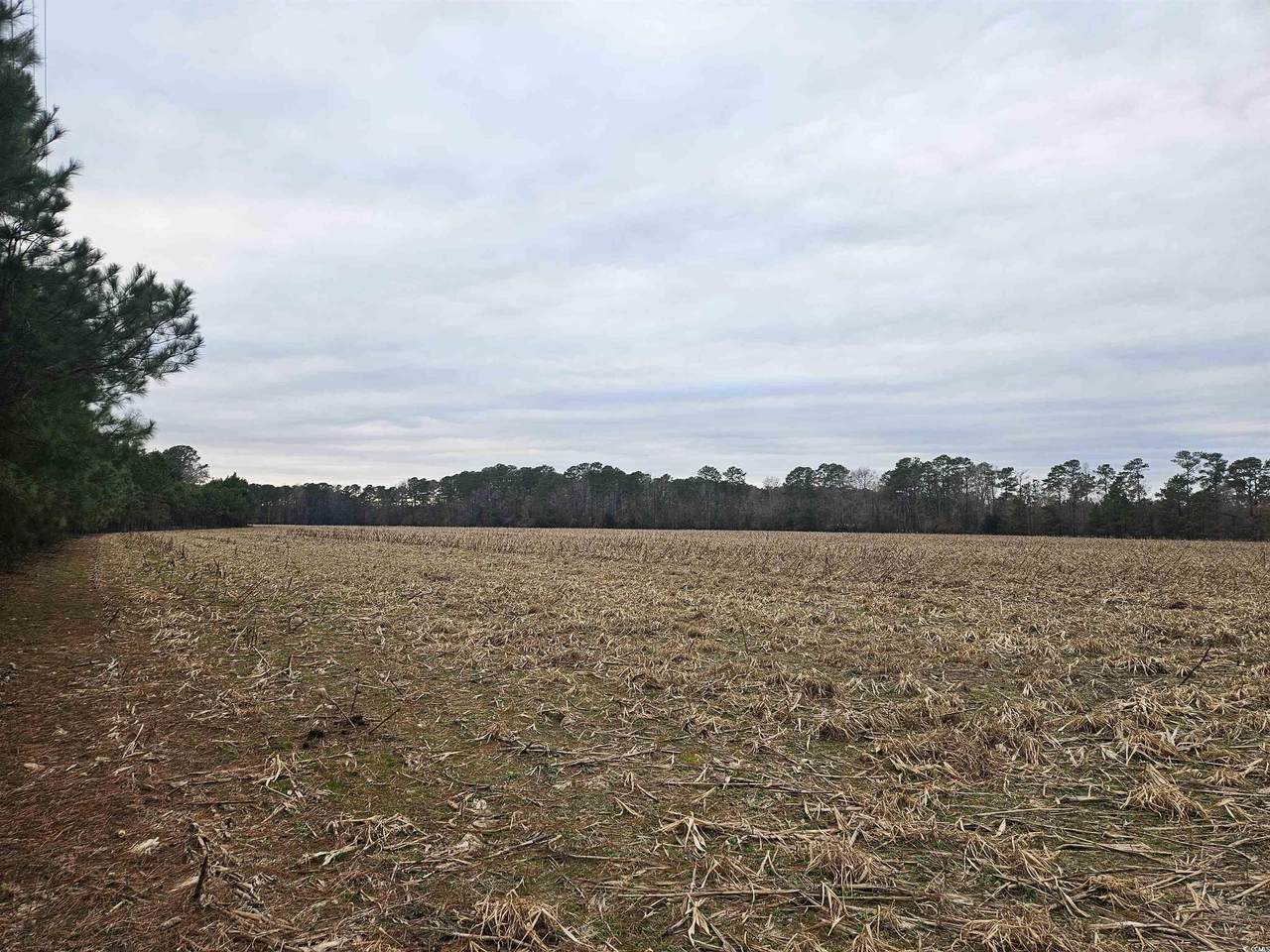 TBD 38ac Cart Rd. - Photo 1