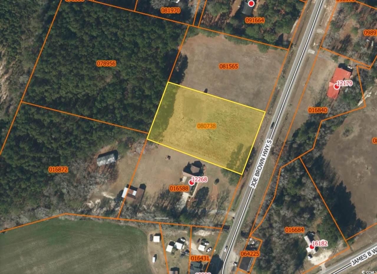 TBD Joe Brown Hwy. - Photo 1