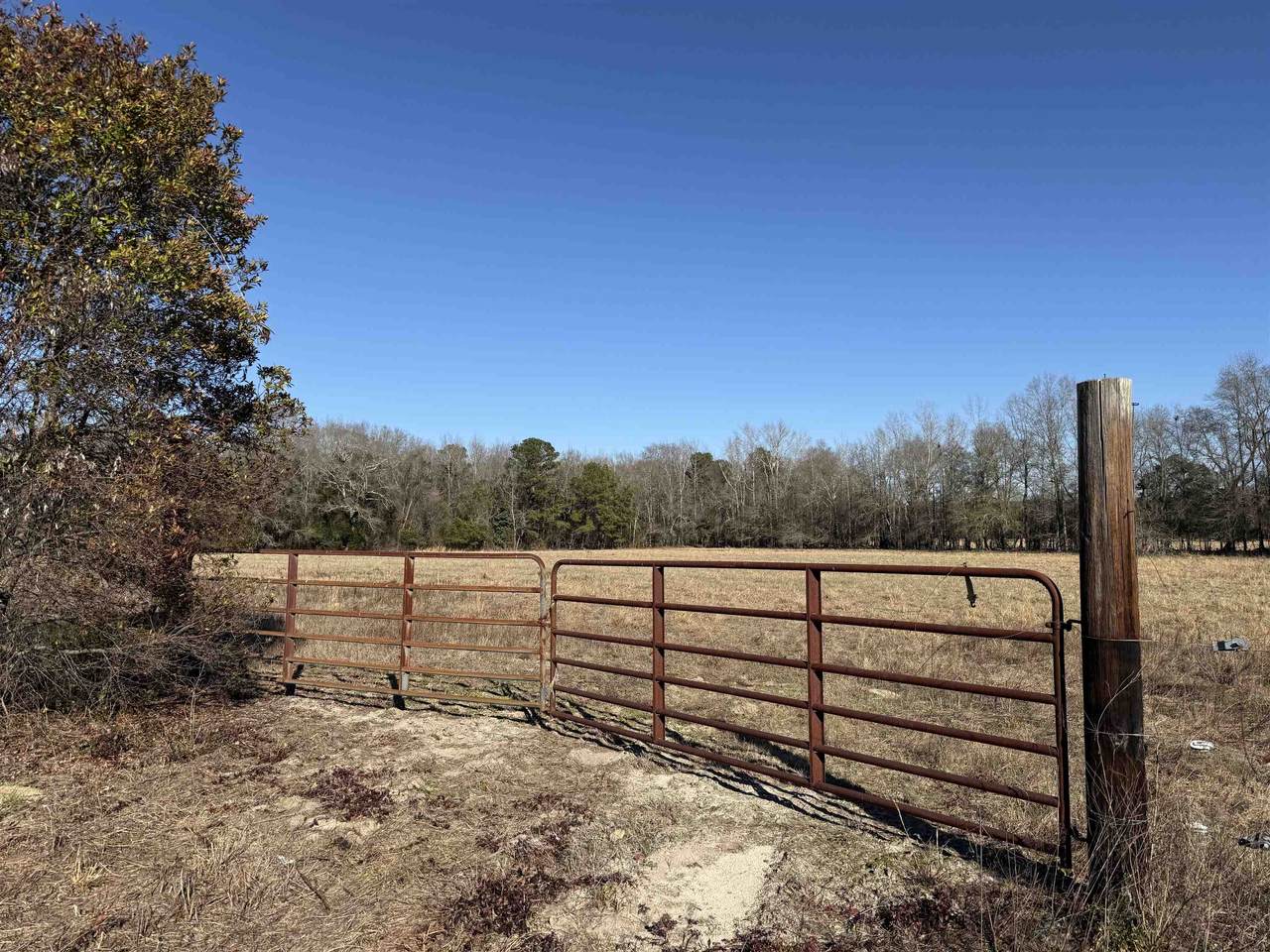 10686 Scott Ave - Photo 1