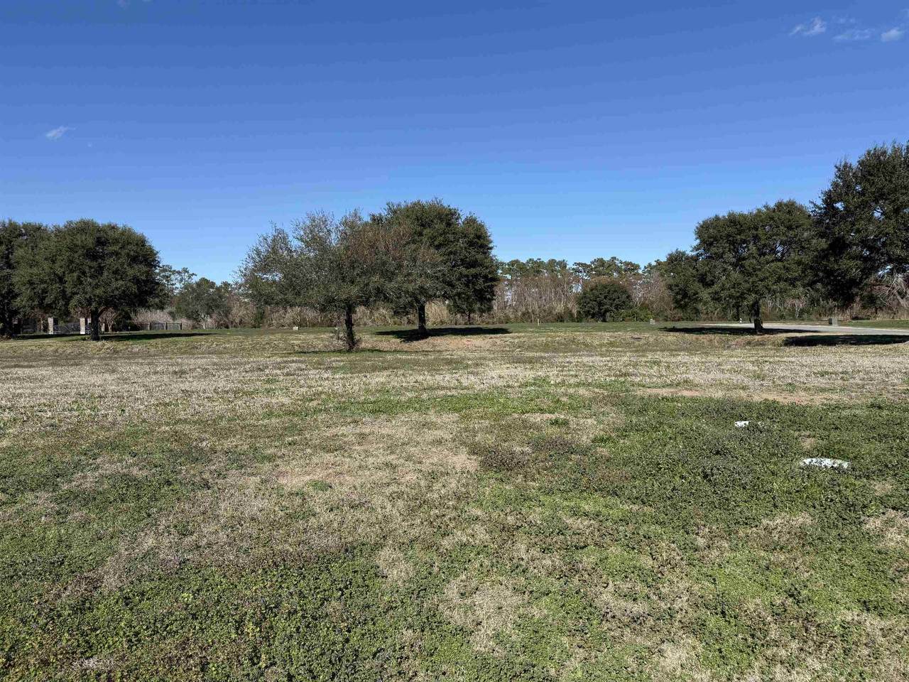 Lot 7 Cravens Grant - Photo 1