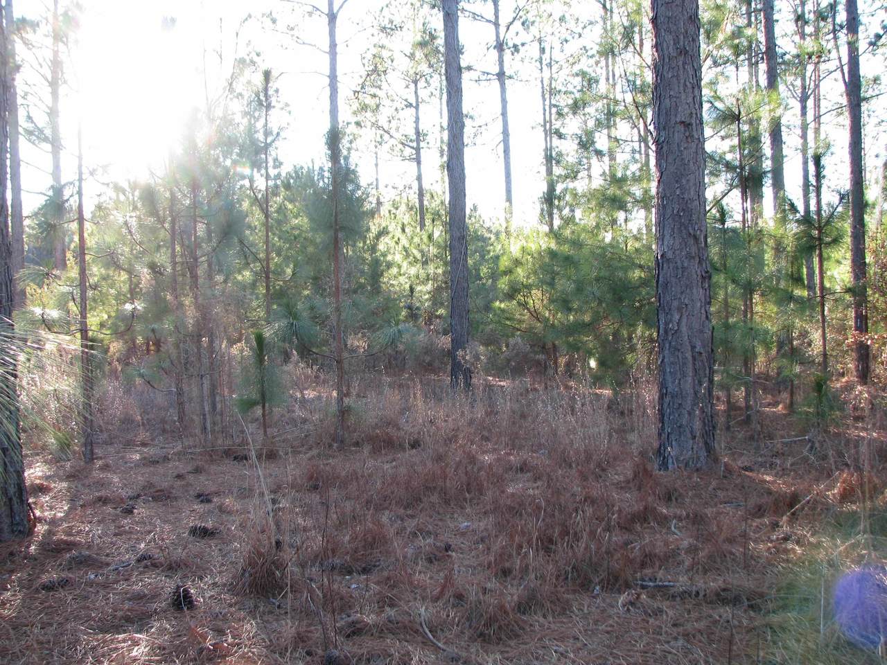 https://bt-photos.global.ssl.fastly.net/ccar/1280_boomver_1_2601450-2.jpg